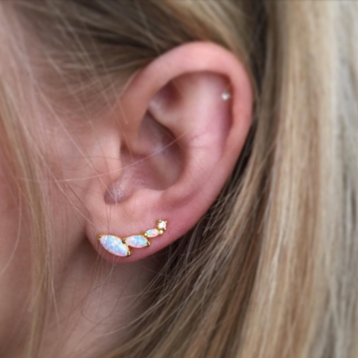Wing ear climbers on sale