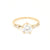 14kt Gold Diamond & Moissanite Spring Waltz Ring