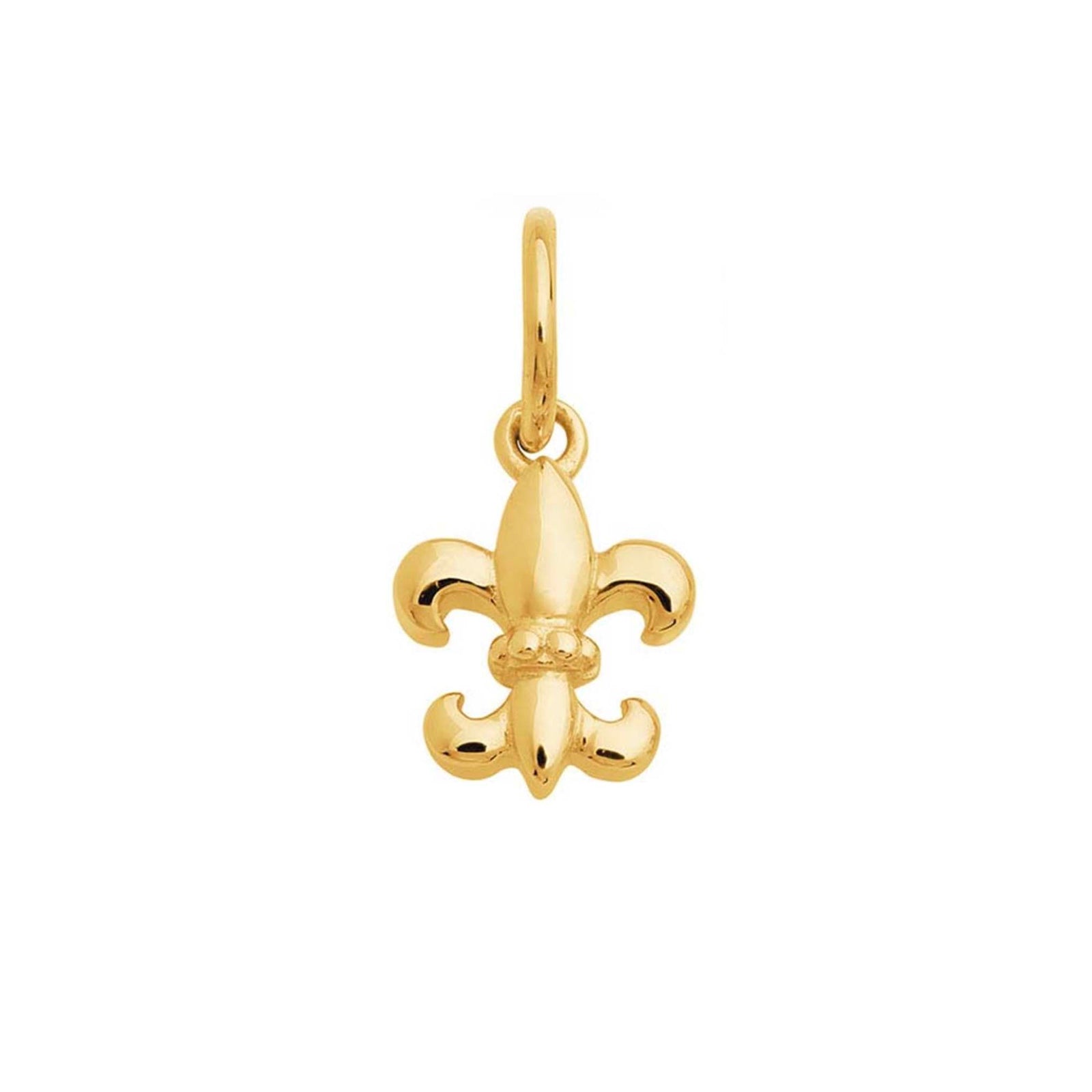 14kt Gold Fleur De-Lis Charm