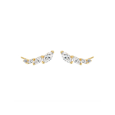 Crystal Wing Climbers