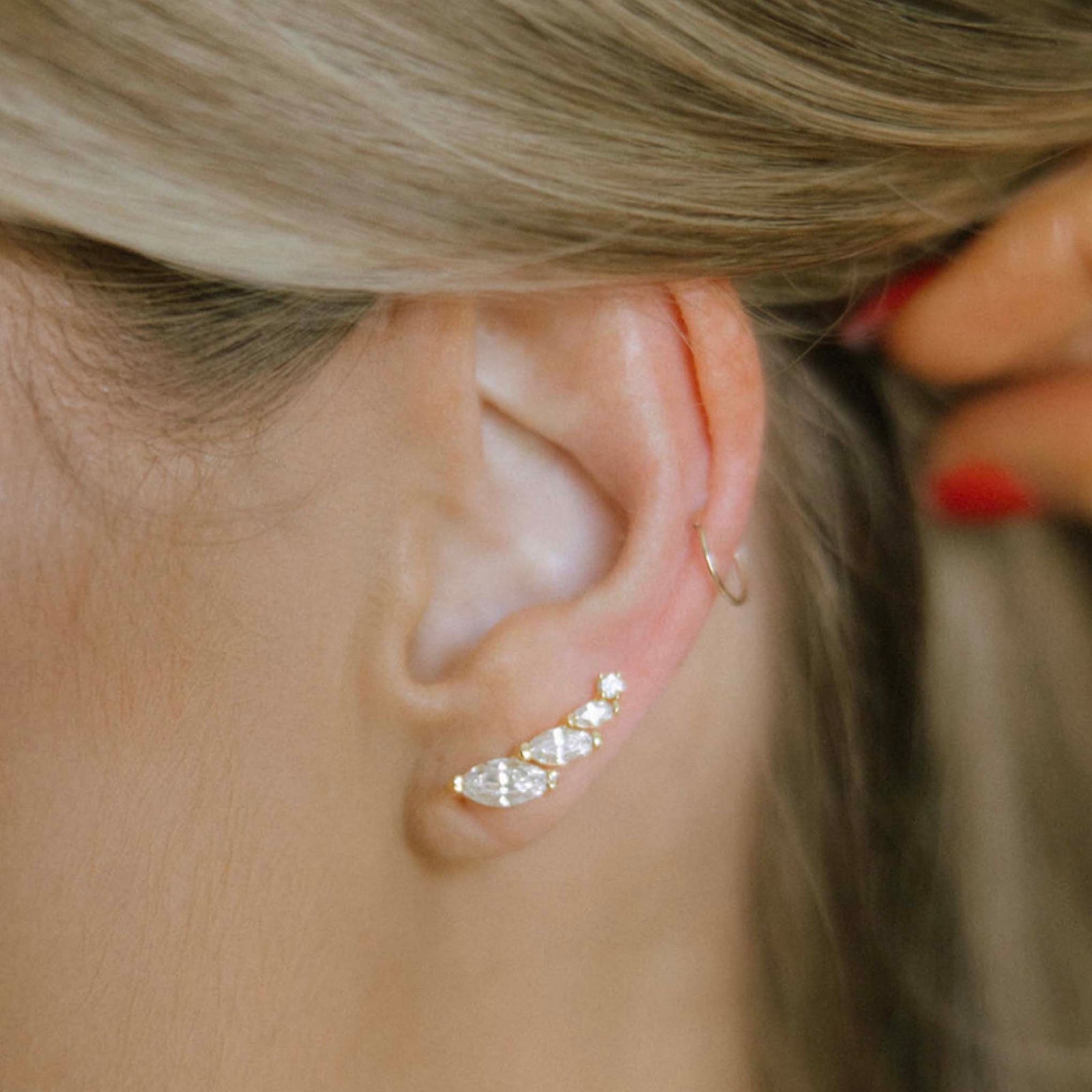 Crystal Wing Climbers