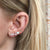 Rainbow Moonstone and Opal Wing Climbers