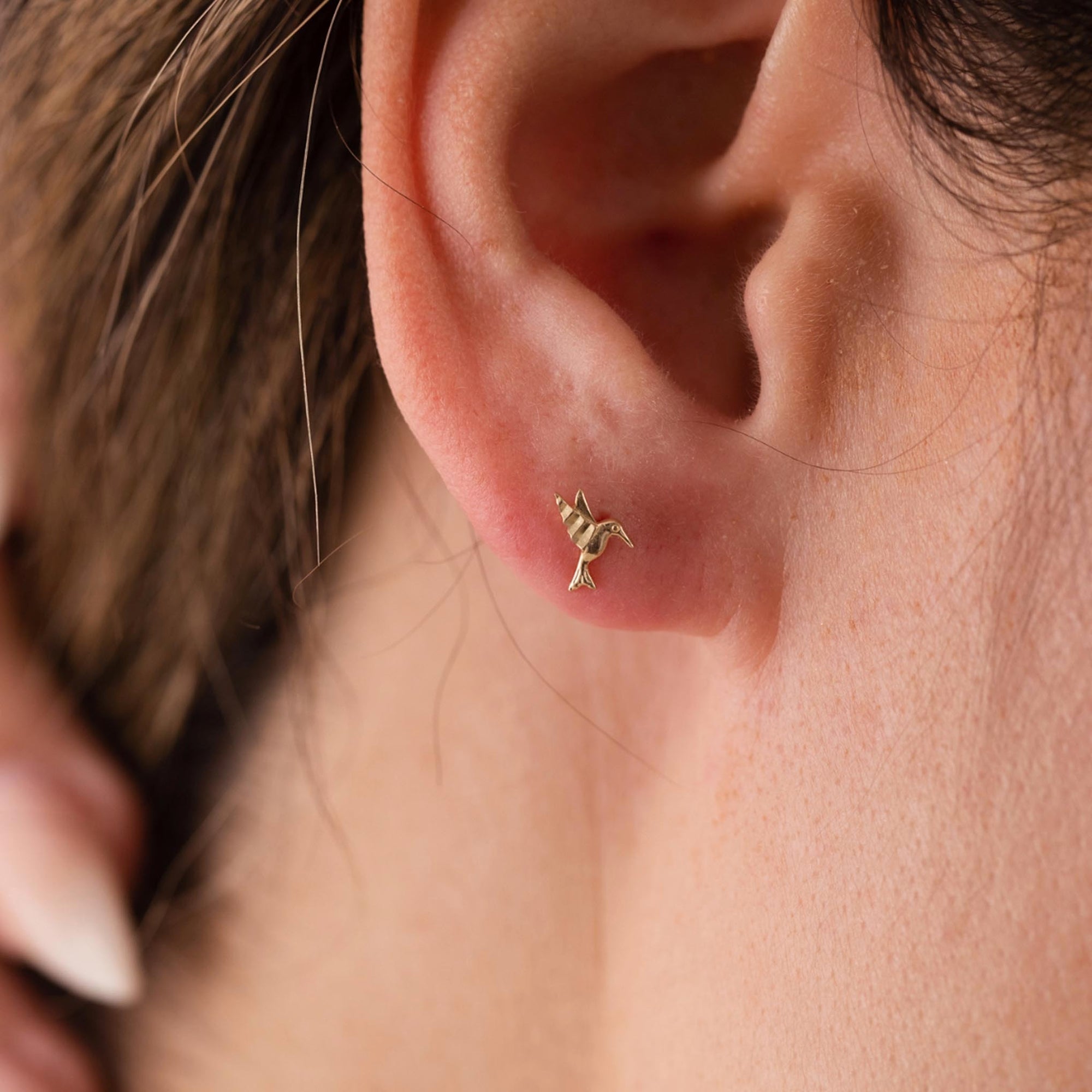 14kt Gold Hummingbird Studs