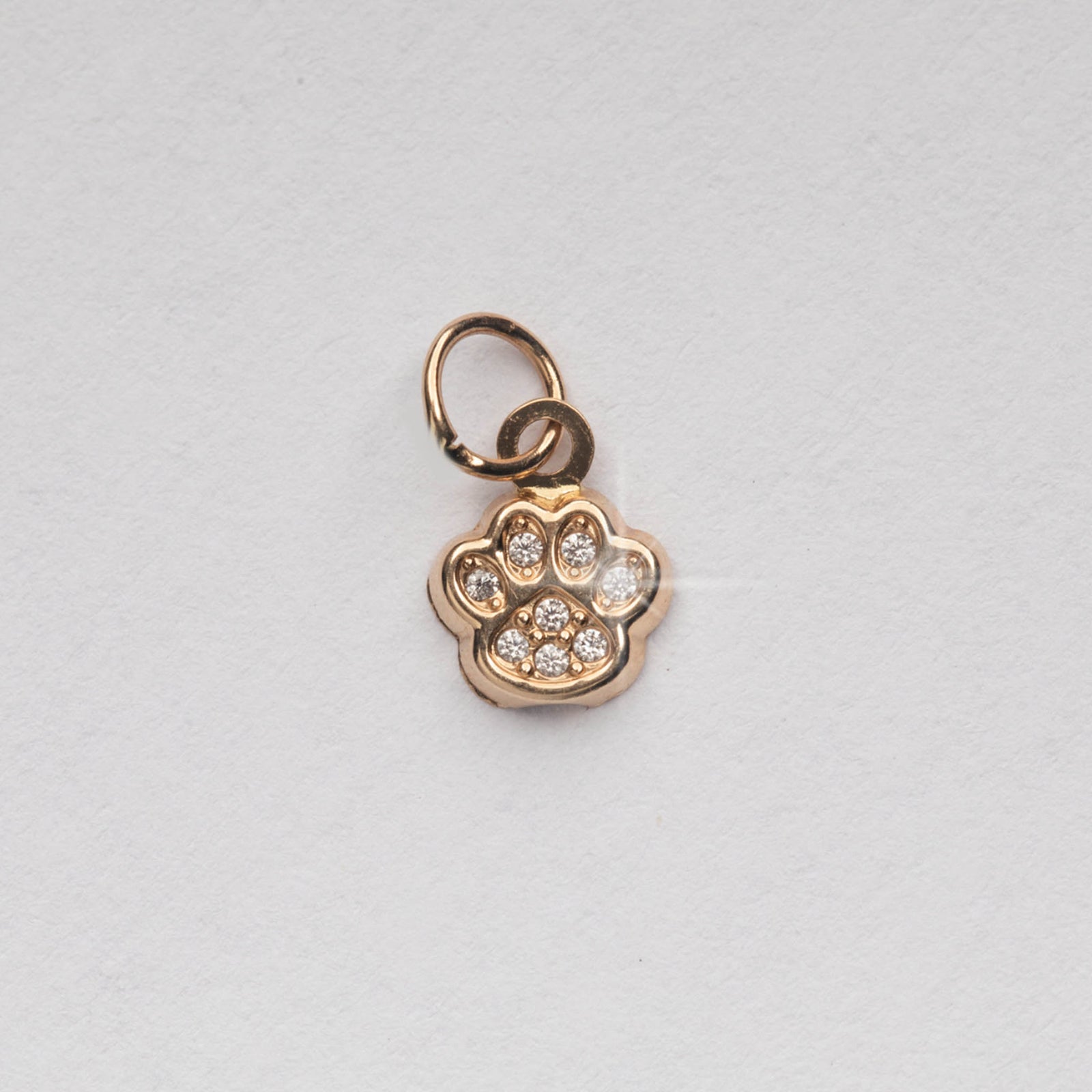 14kt Gold Doggie Paw Print